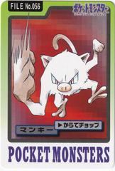 Image for Ampharos 181